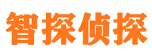 广平外遇调查取证